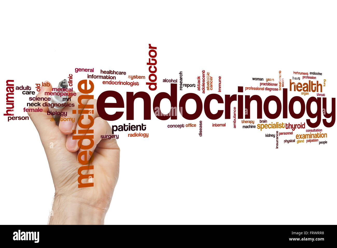Endocrinology word cloud concept Stock Photo