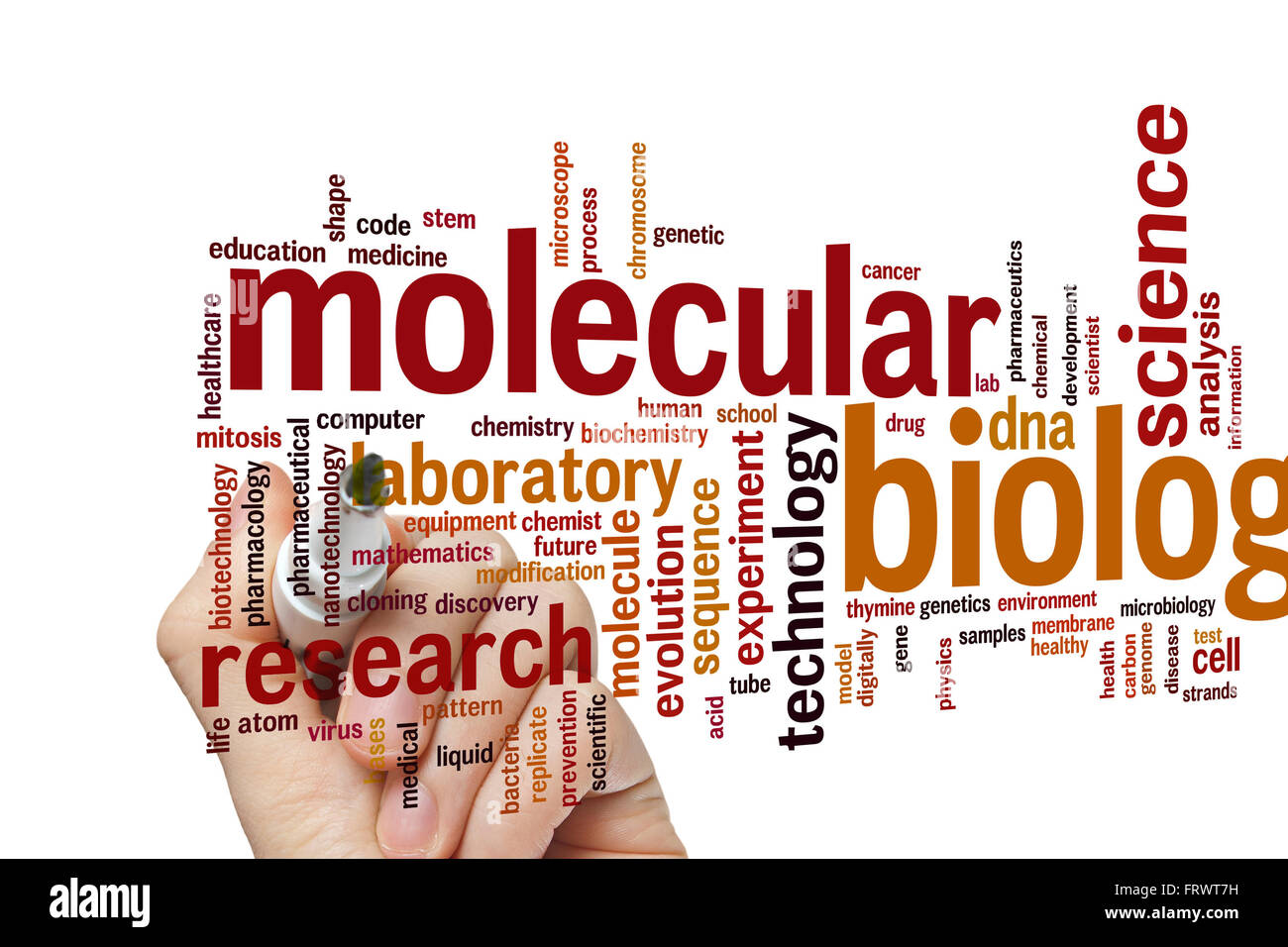 Molecular biology concept word cloud background Stock Photo