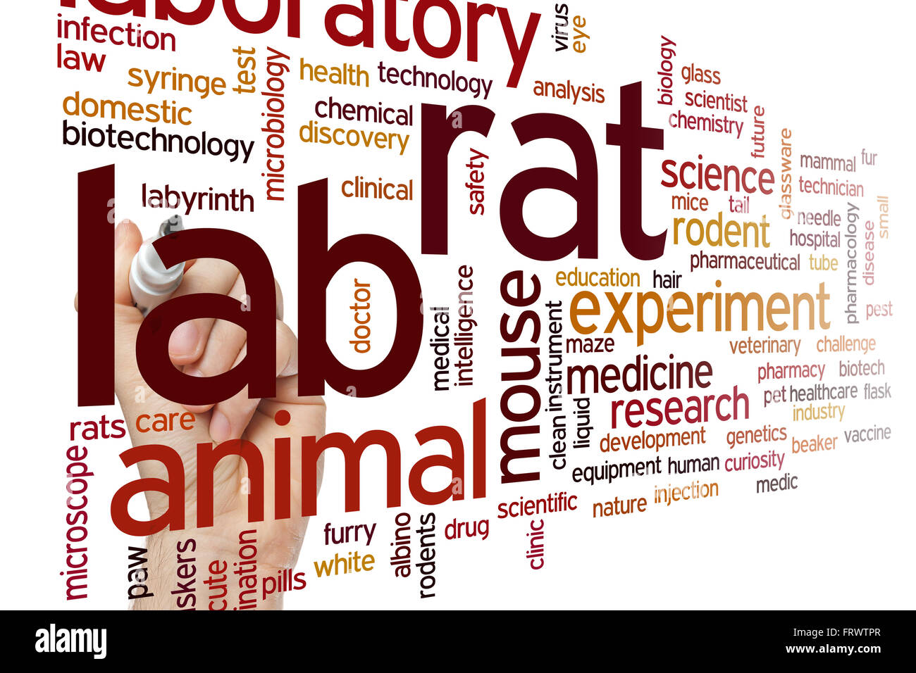 Lab rat concept word cloud background Stock Photo Alamy