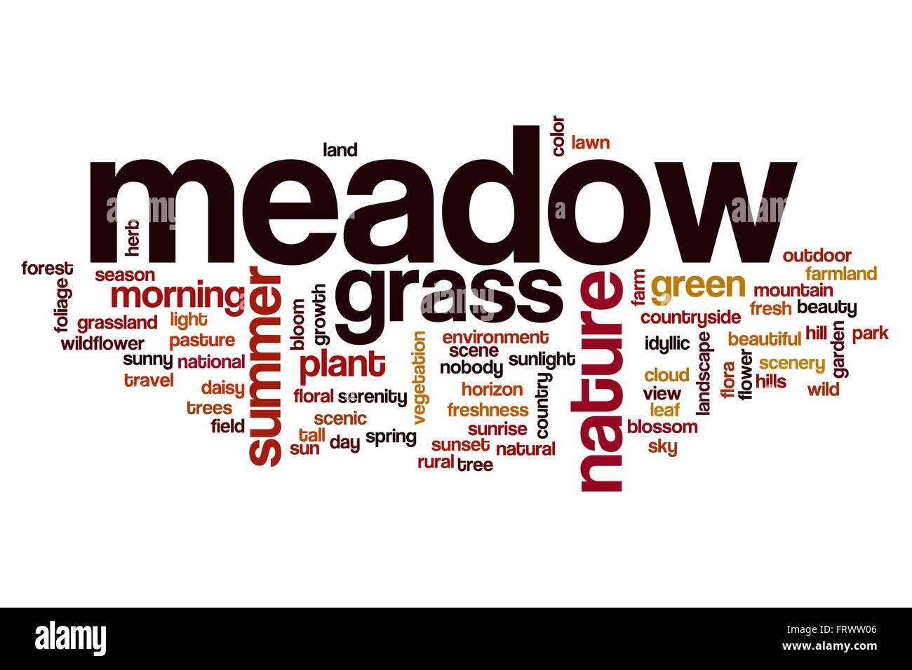 Meadow Word Cloud Stock Photo Alamy
