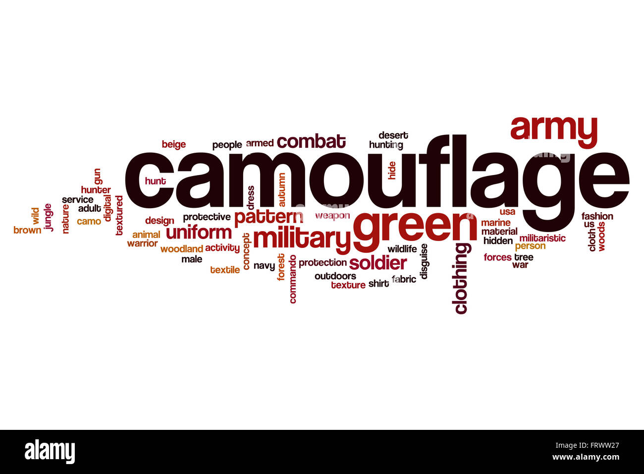 Camo Word In The World