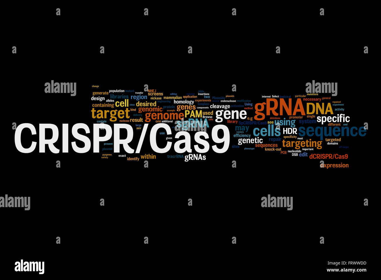 CRISPR/Cas9 system for editing, regulating and targeting genomes (biotechnology and genetic engineering) word cloud Stock Photo