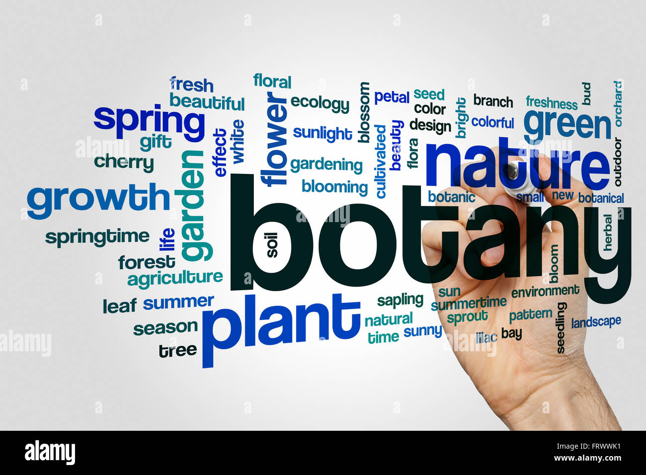Botany word cloud Stock Photo Alamy