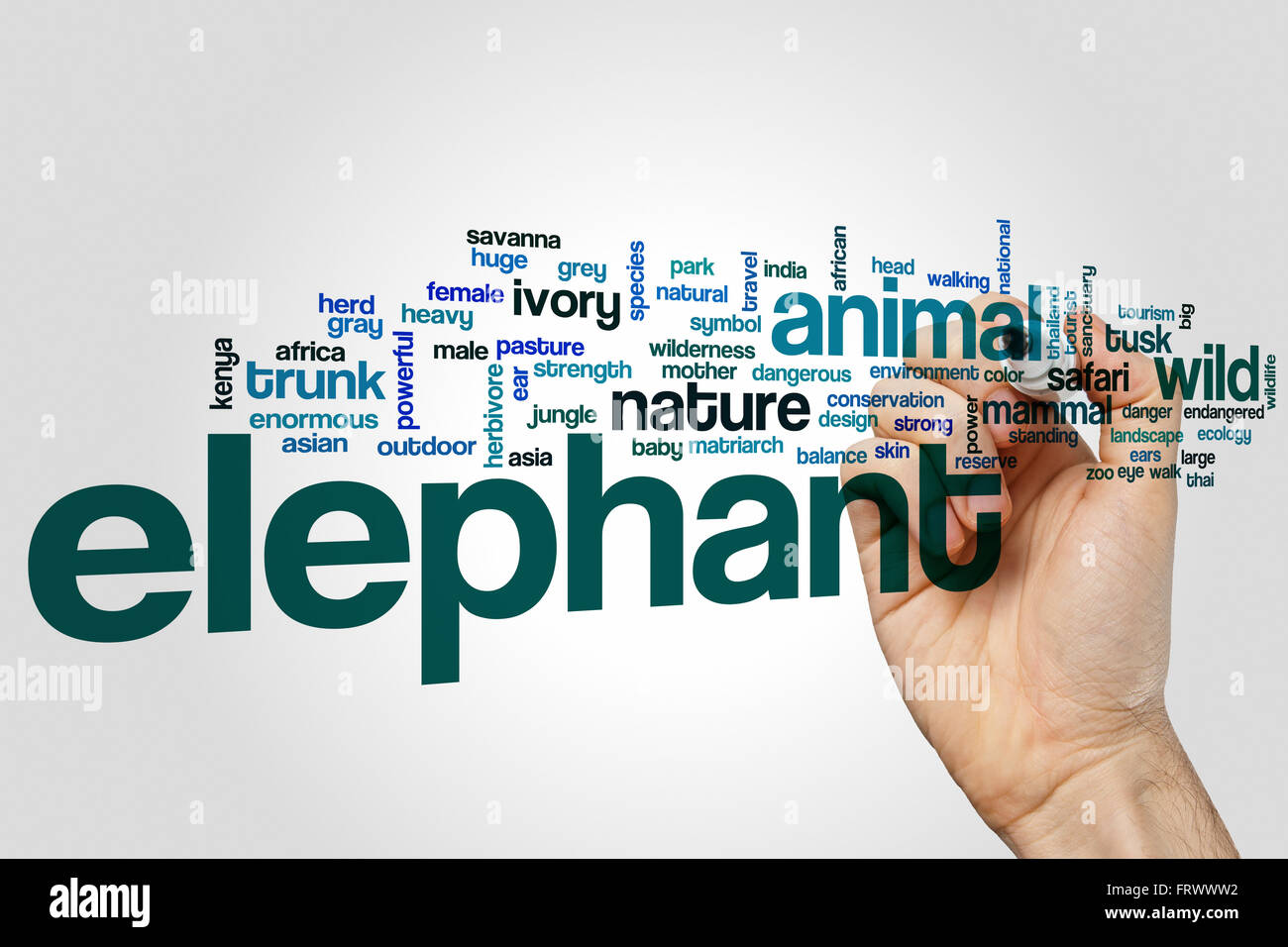 Elephant word cloud Stock Photo Alamy