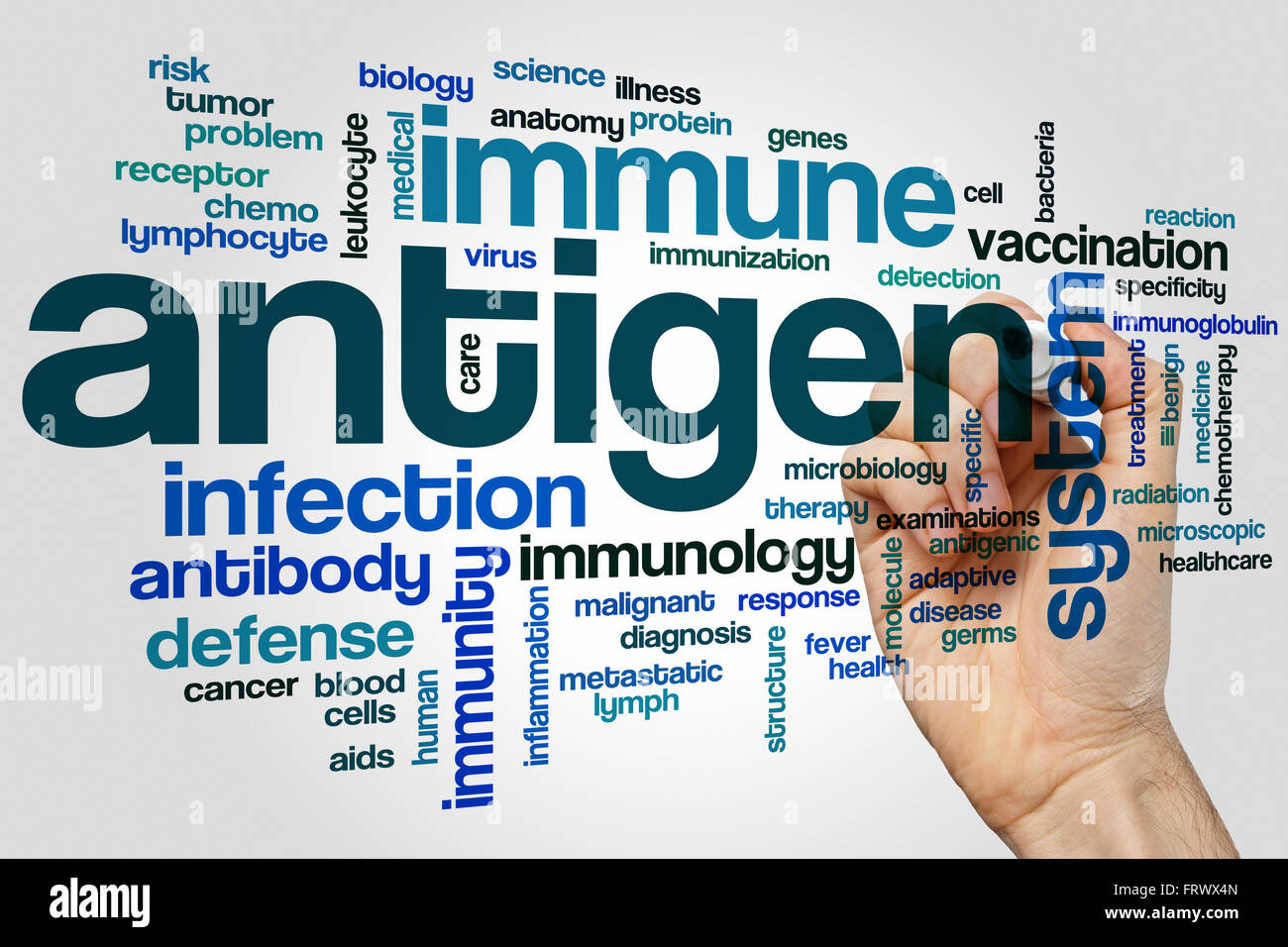 Antigen word cloud concept Stock Photo