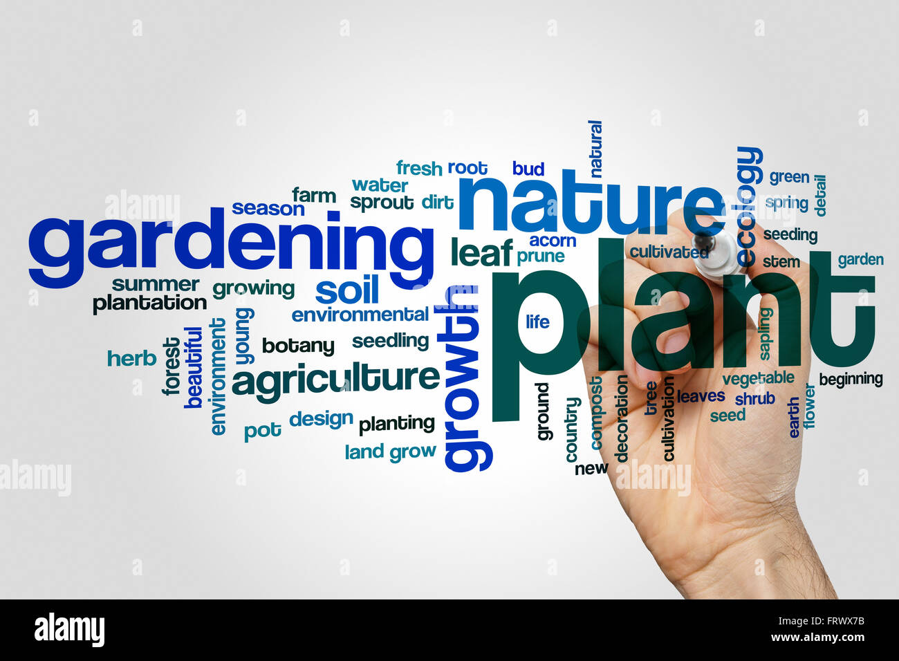 Plant word cloud Stock Photo Alamy