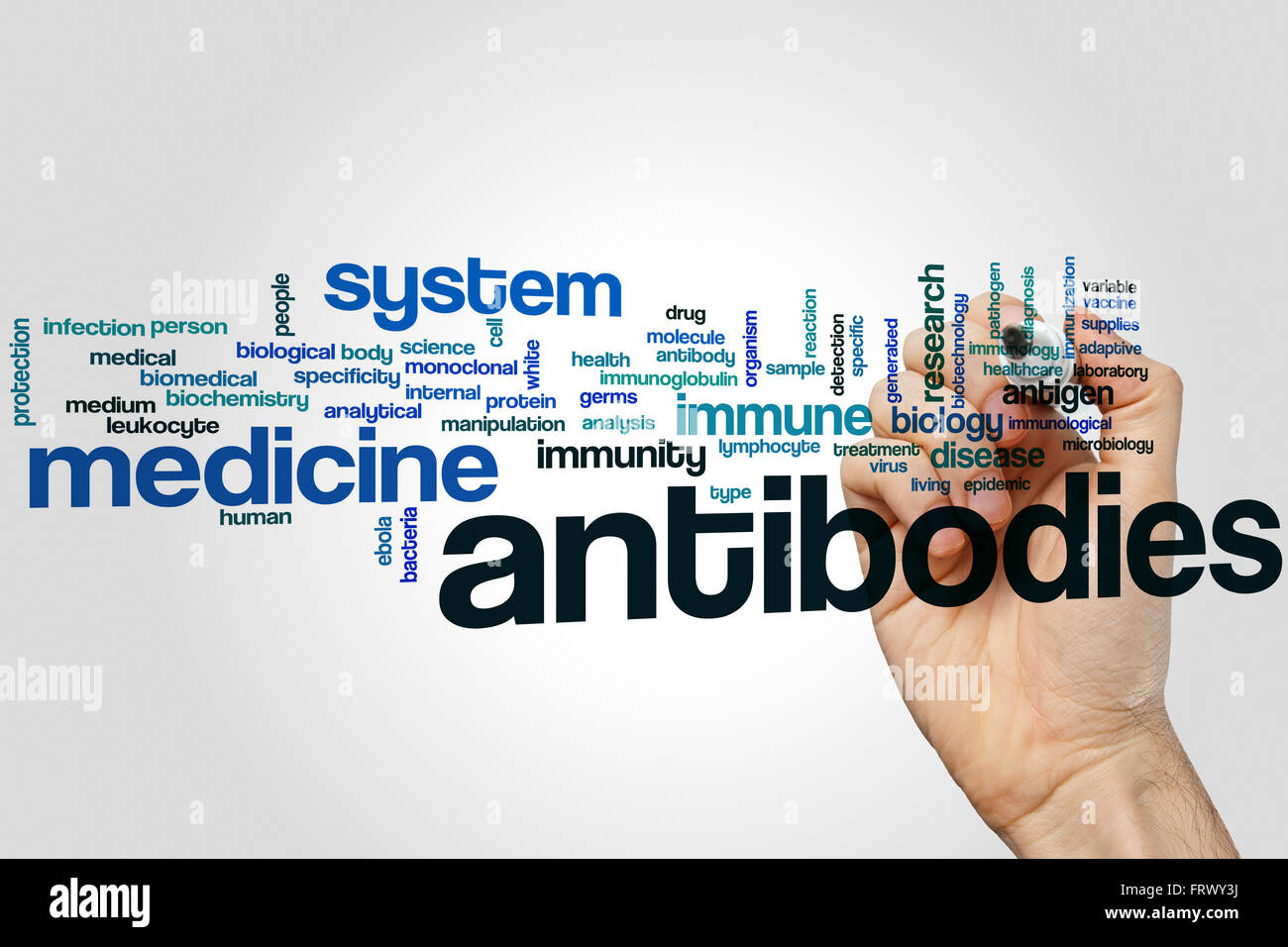 Antibodies word cloud concept Stock Photo