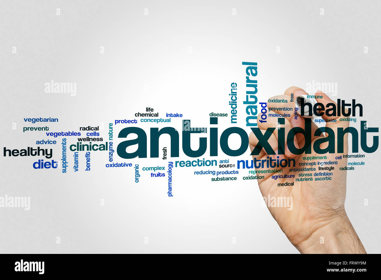 Antioxidant word cloud concept Stock Photo