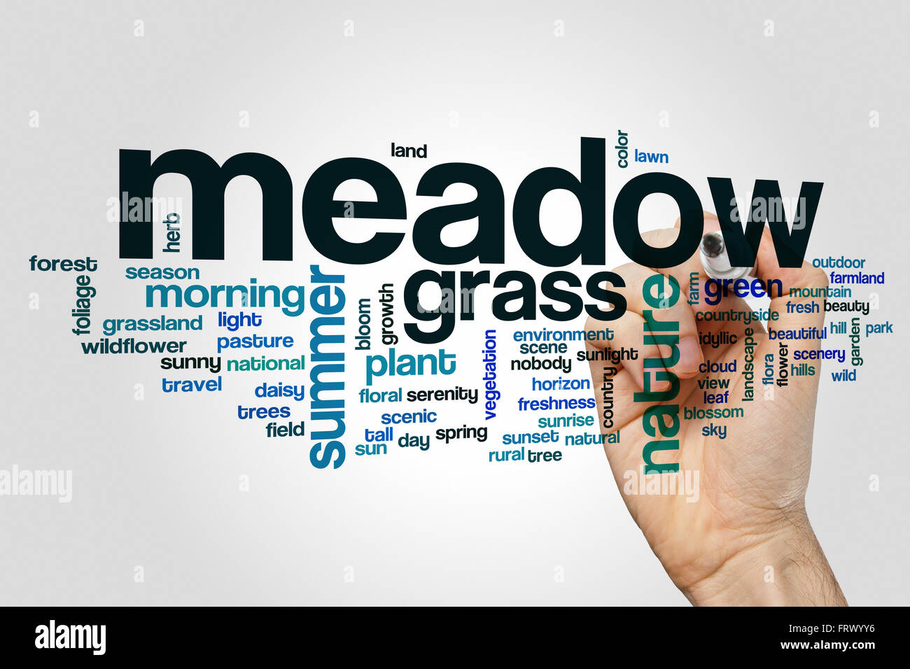 Meadow word cloud Stock Photo Alamy