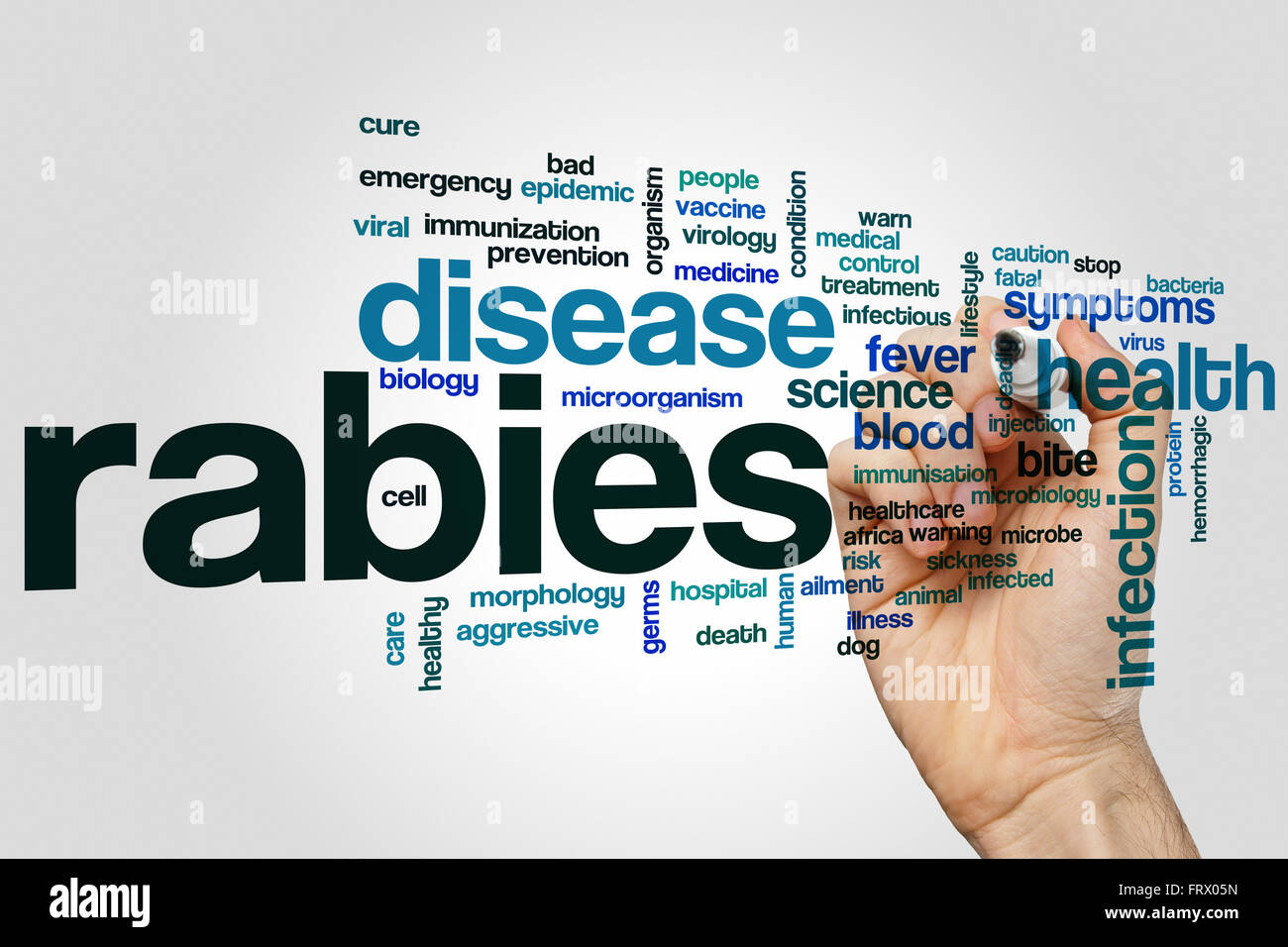 Rabies word cloud concept Stock Photo