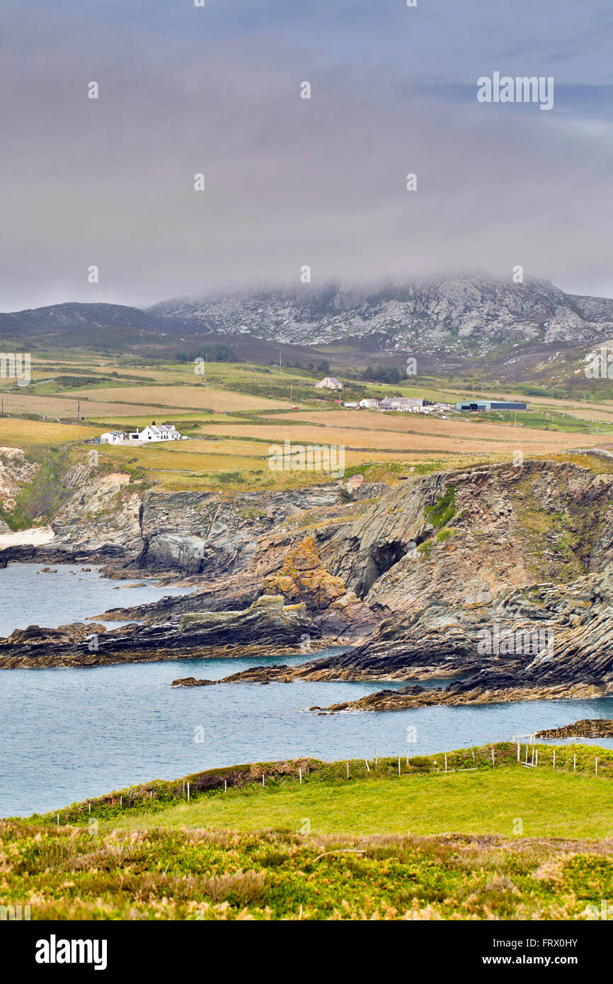 South Stack Area; Anglesey; UK Stock Photo Alamy