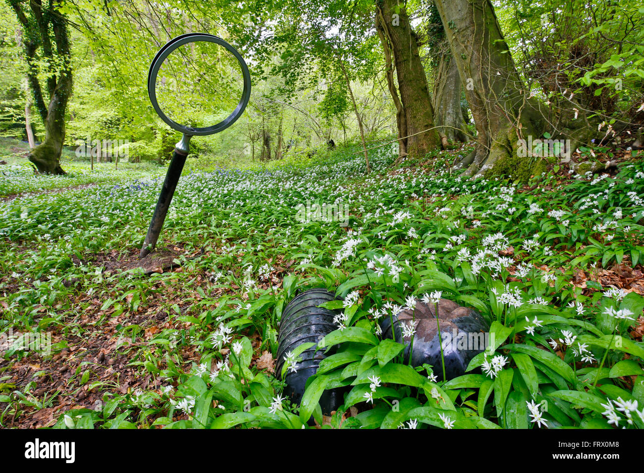 White rocks reserve hi-res stock photography and images - Alamy