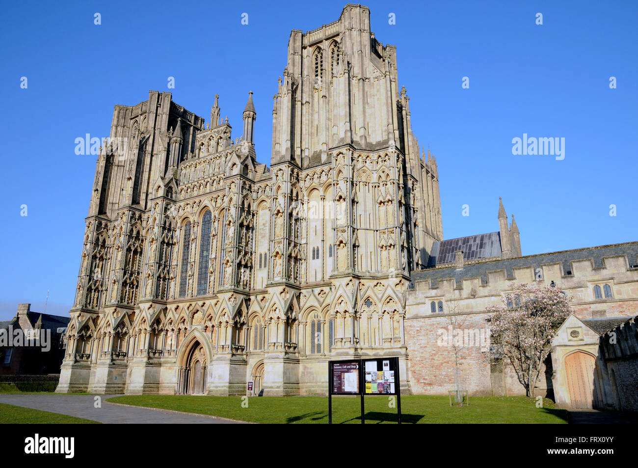 Wells Cathedral in the Englisg county of Somerset. The present cathedral dates from about 1175 and is built in the Gothic style. Stock Photo