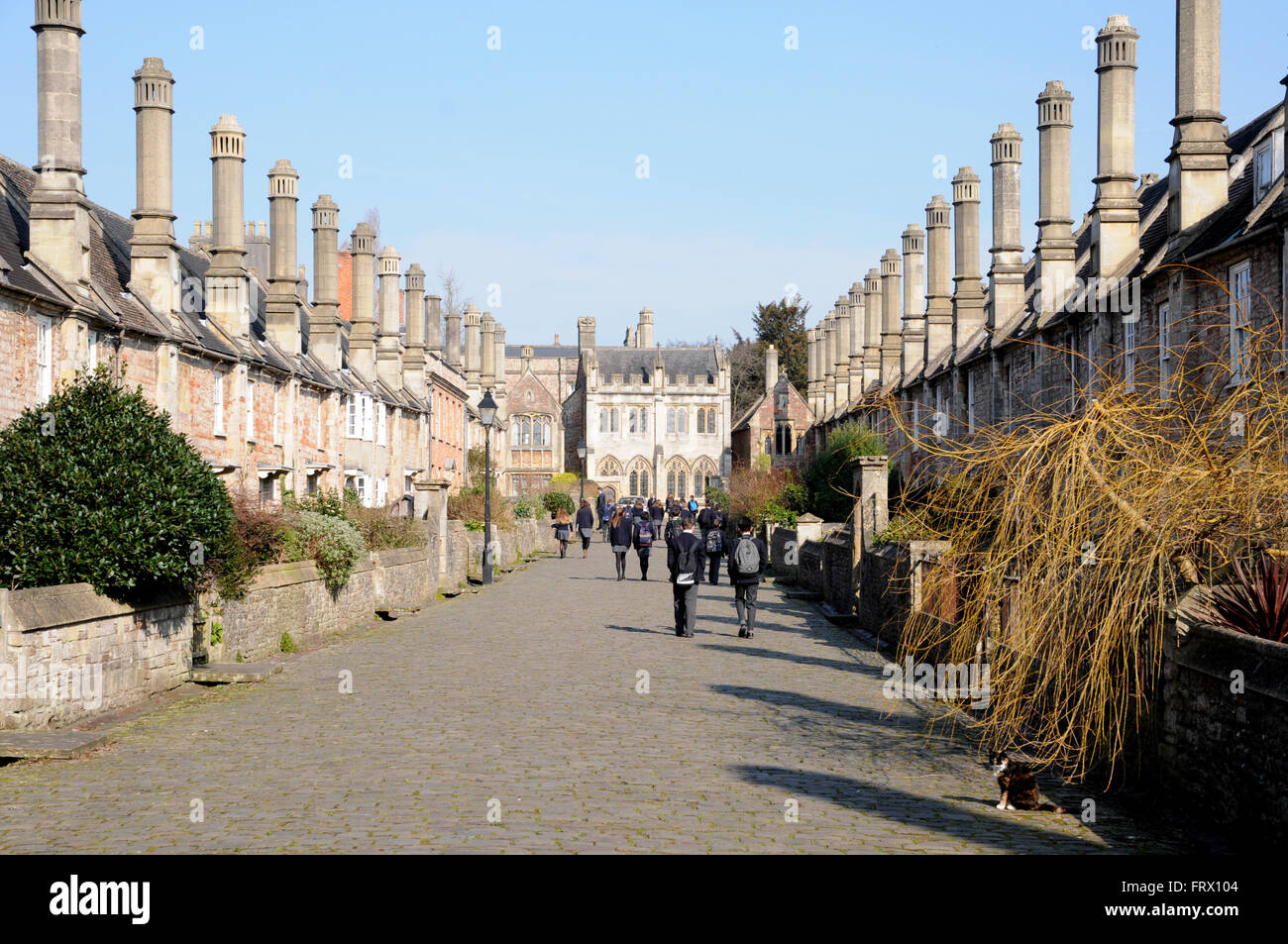 The Grade 1 listed buildings in Vicars' Close, Wells, Somerset. The medieval houses date from 1348. Stock Photo