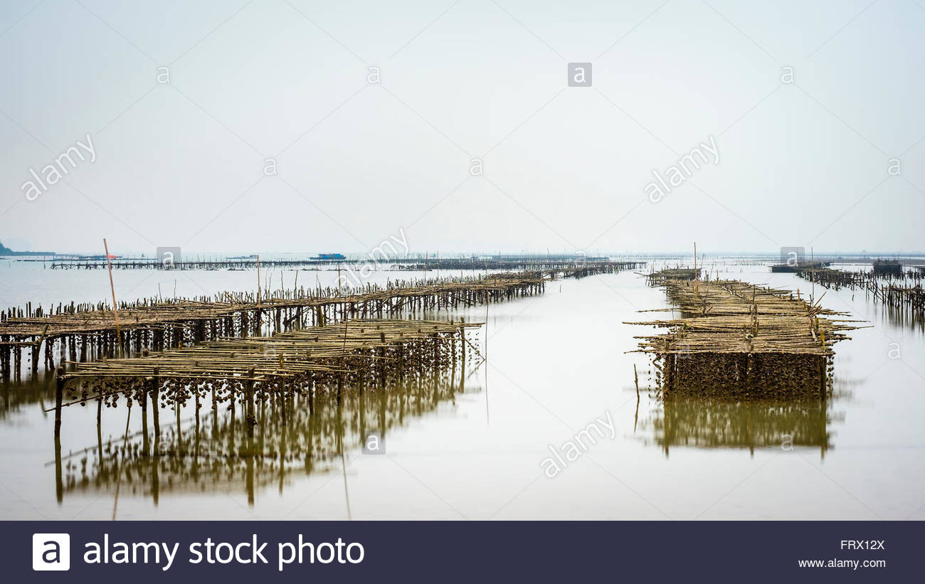 Farm Structures High Resolution Stock Photography and Images Alamy