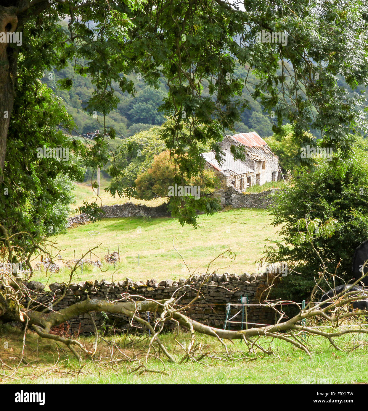 An old semi derelict cottage through the trees in rural Derbyshire England UK Stock Photo