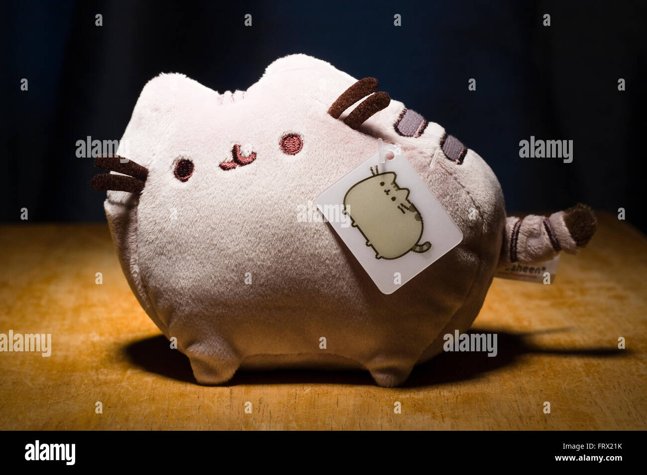 Pusheen Cat also spelled Pusheencat or Pusheenthecat Plush Toy Stuffed Animal lit from above on wooden table with hologram tag Stock Photo