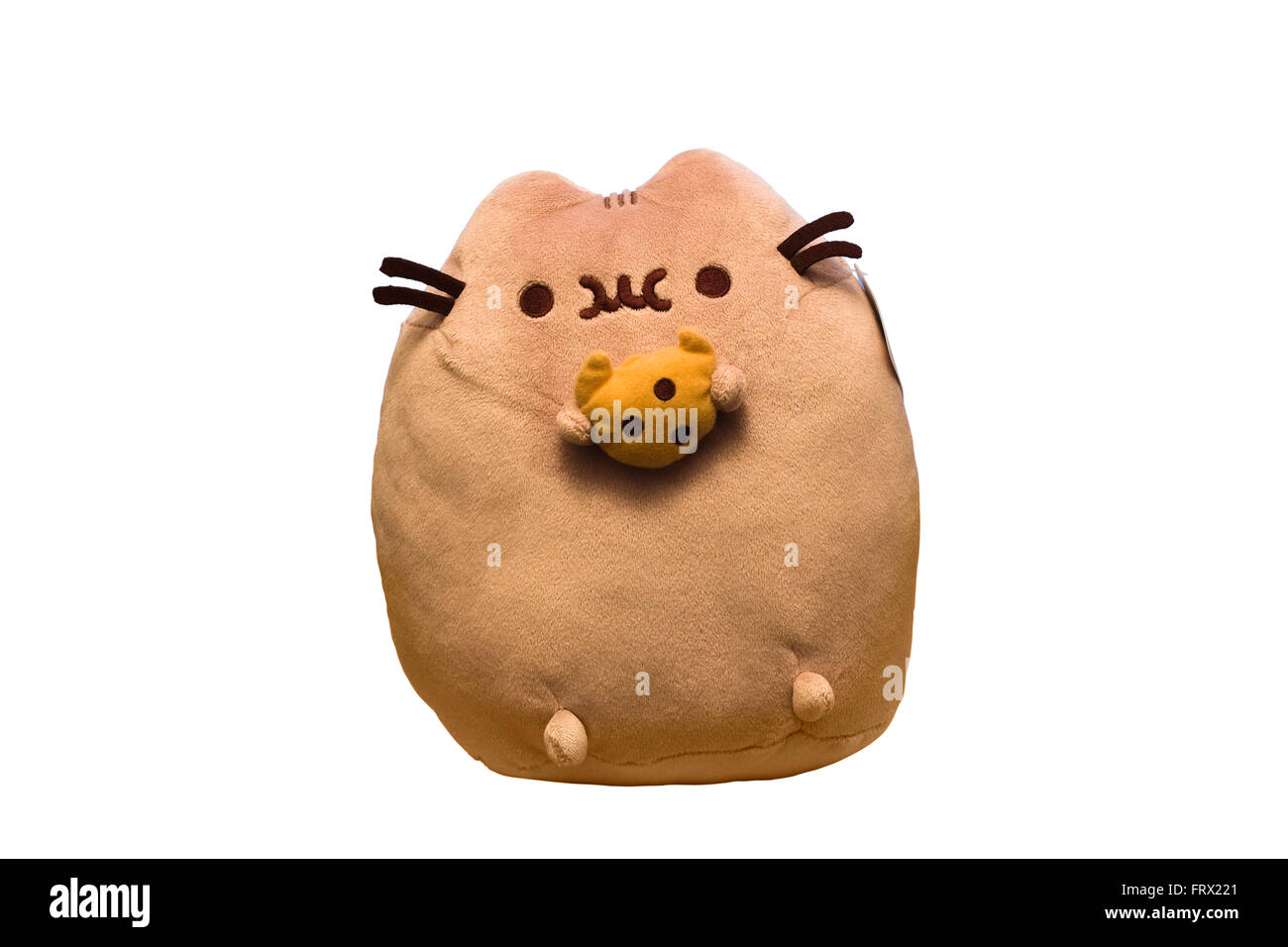 Cut Out. Very Fat Pusheen Cat Plush Toy Stuffed Animal eating a Chocolate Chip Cookie isolated on white background Stock Photo