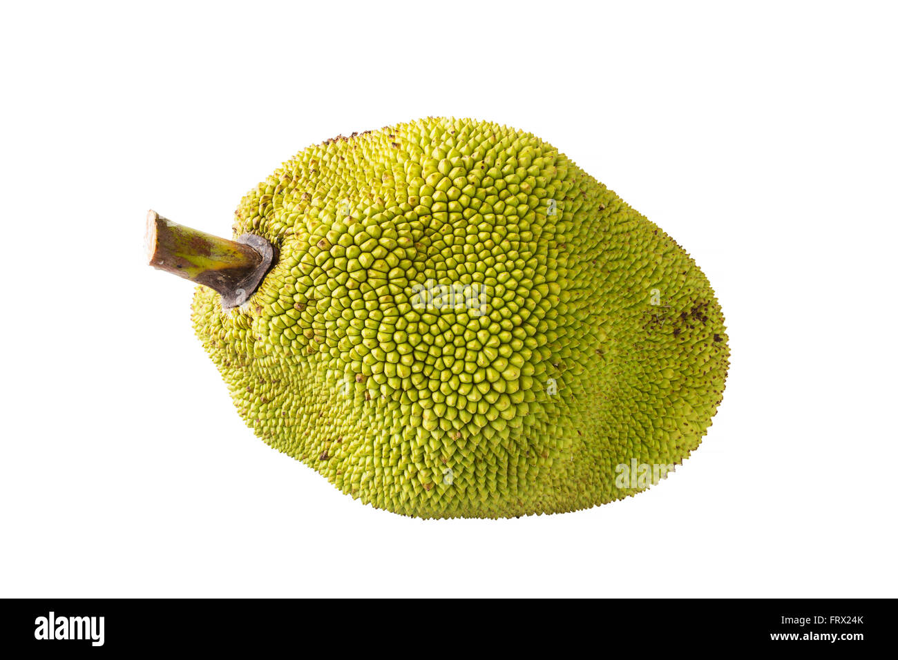 Jackfruit, ripe fruit on a white background. Stock Photo