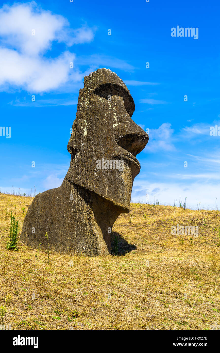 Polynesian Stone Carving at Rano Raraku Quarry in Easter Island, Chile Stock Photo