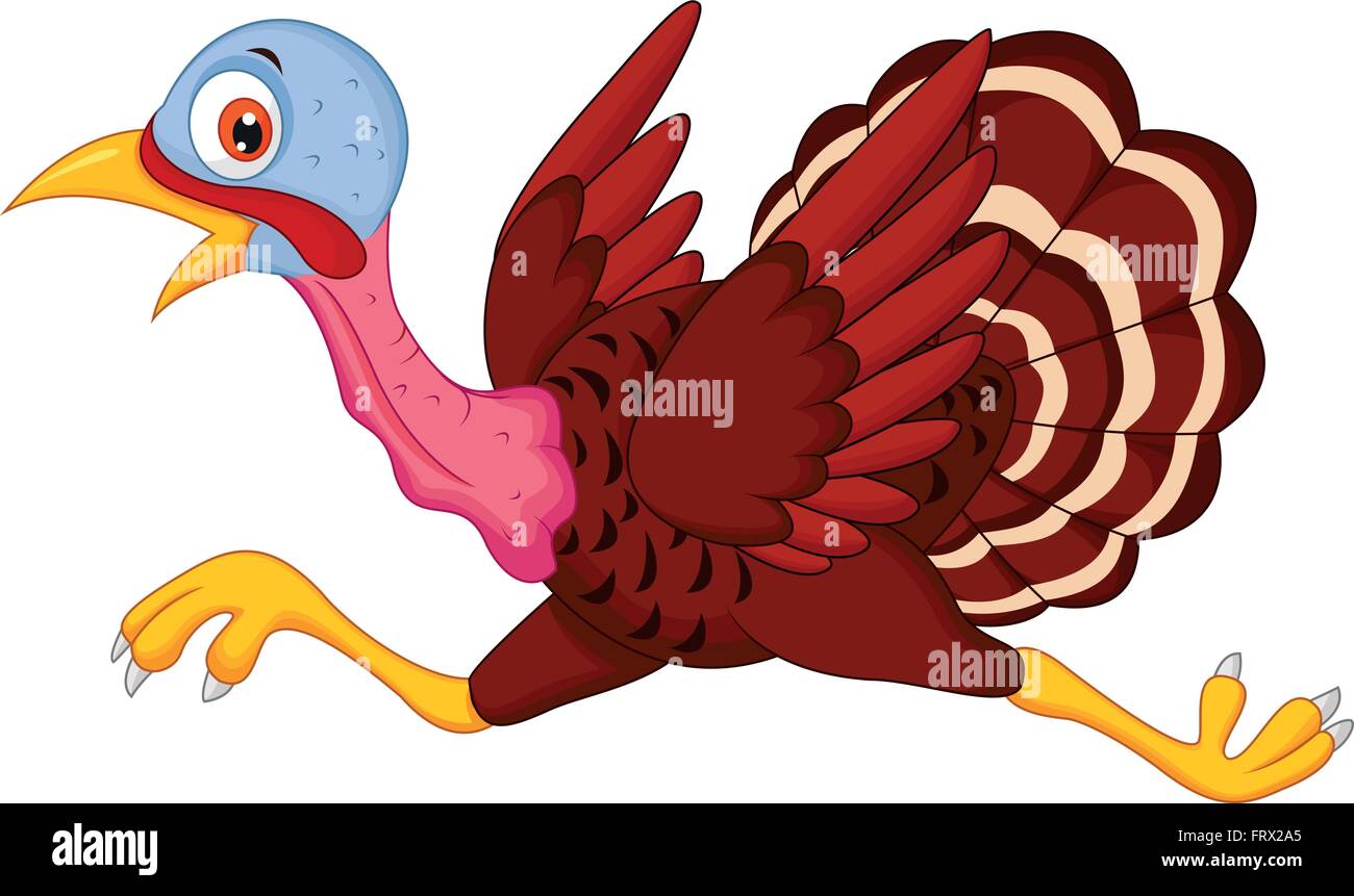 Cartoon turkey running Stock Vector Image & Art - Alamy