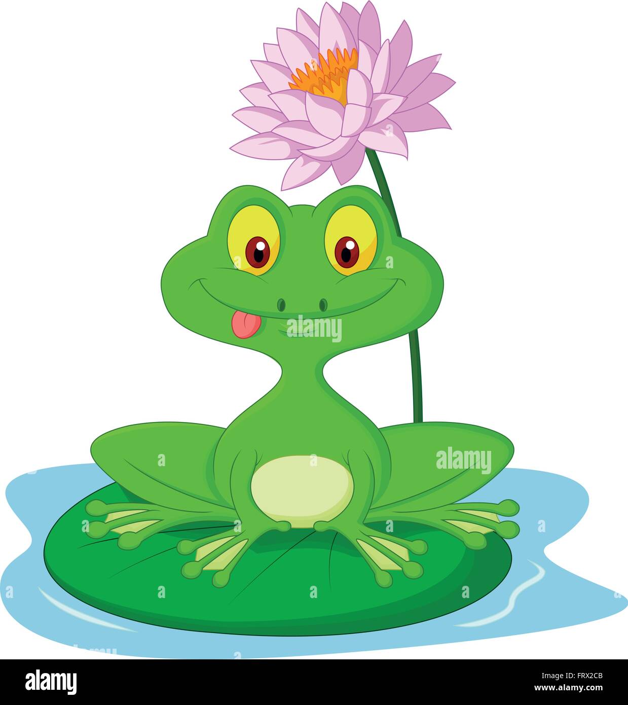 green-frog-sitting-on-a-leaf-stock-vector-image-art-alamy