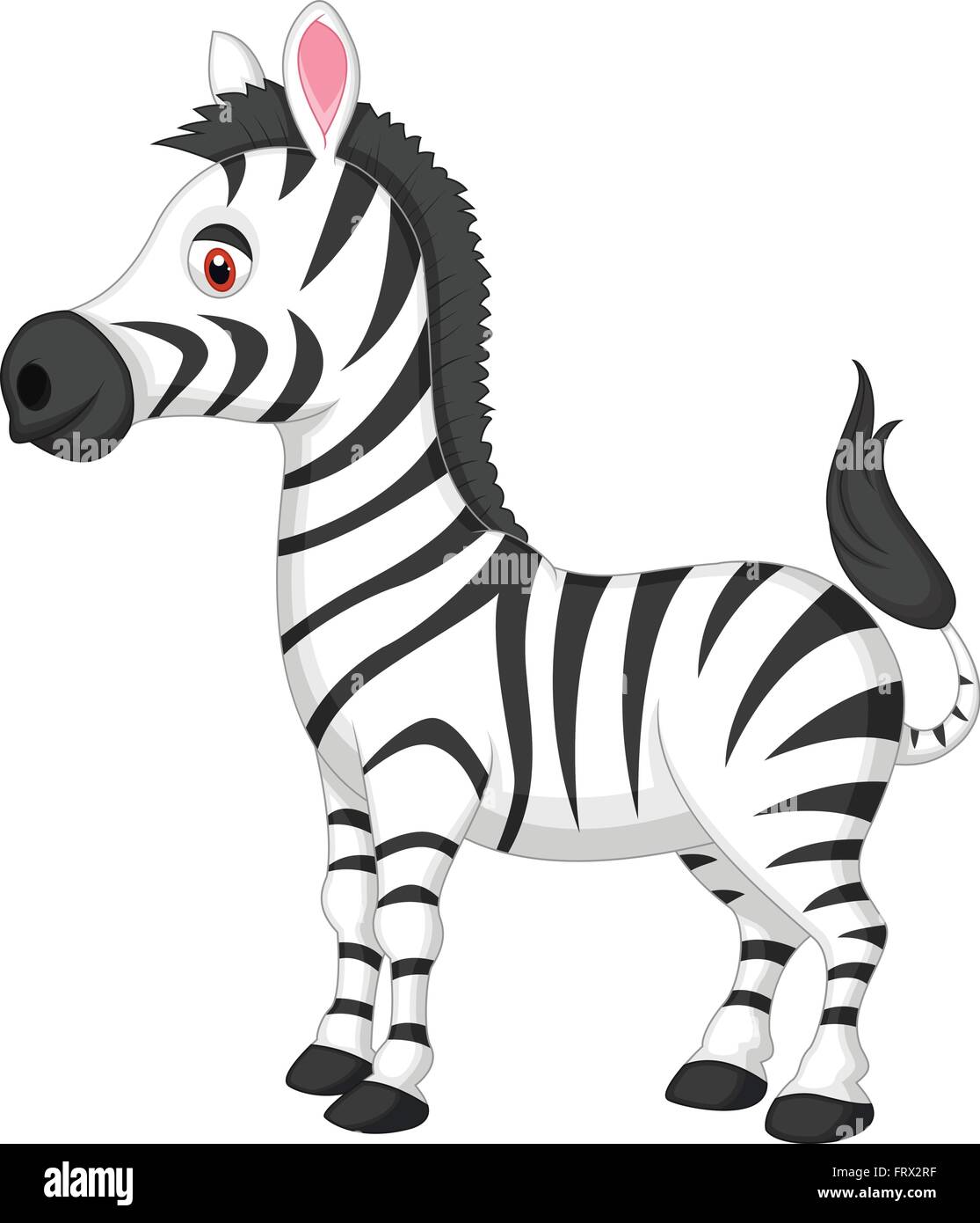 Cute zebra cartoon Stock Vector Image & Art - Alamy