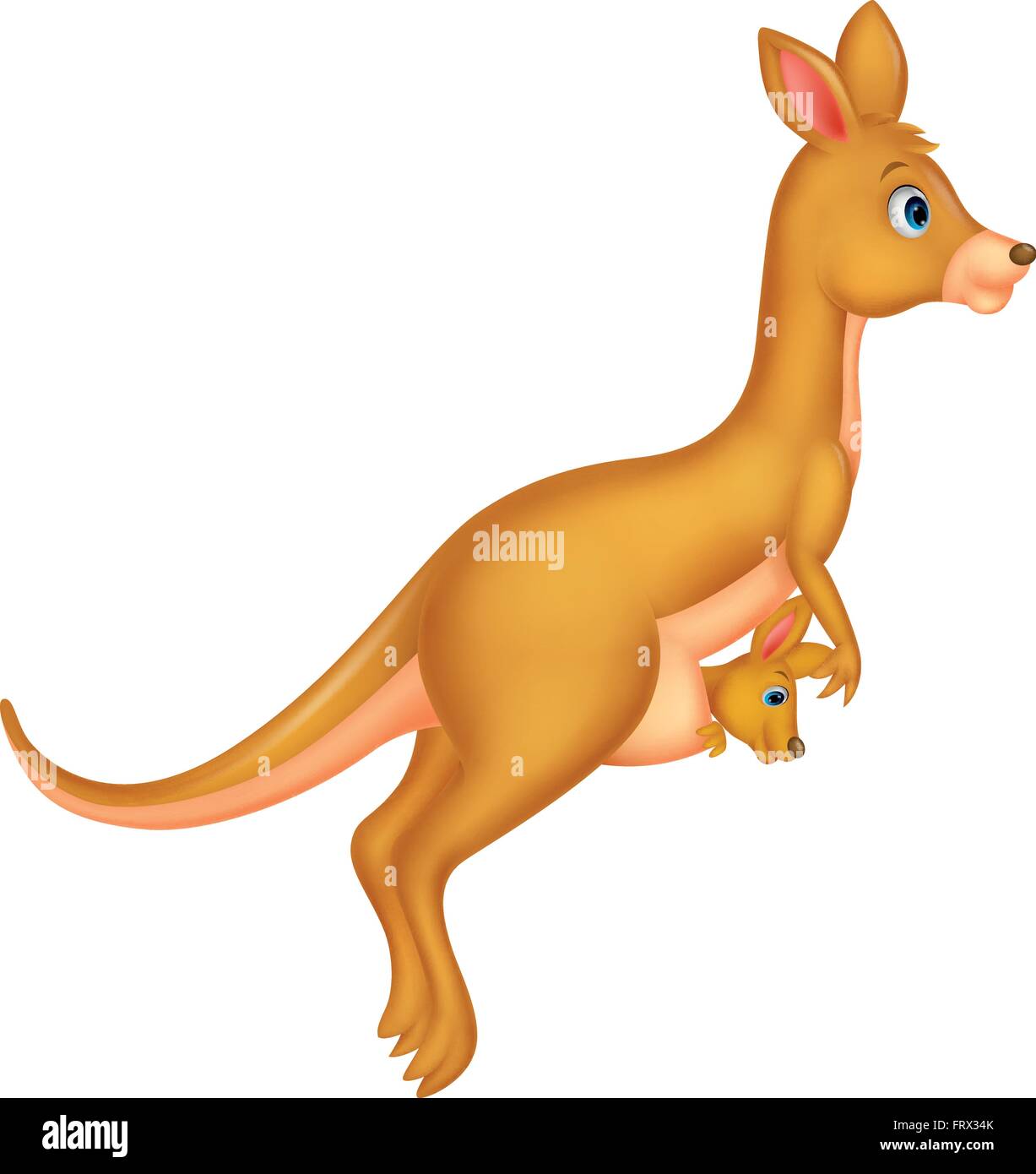 Mother And Baby Kangaroo Cartoon Stock Vector Image Art Alamy alamy