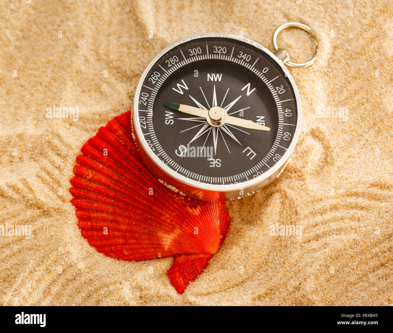 Black compass and sea shell in sand closeup Stock Photo - Alamy