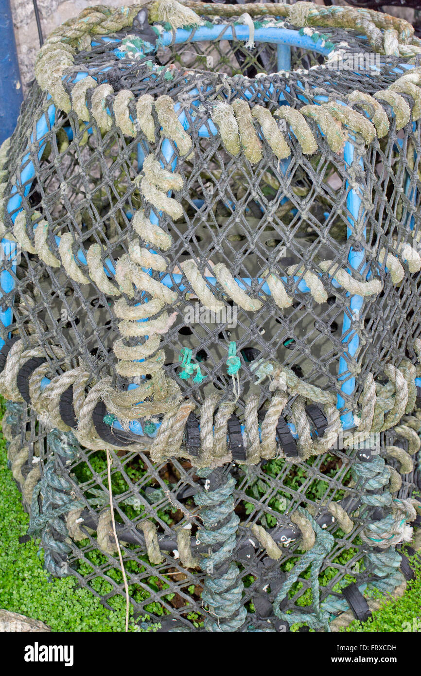 Lobster pot used as garden decoration Stock Photo Alamy