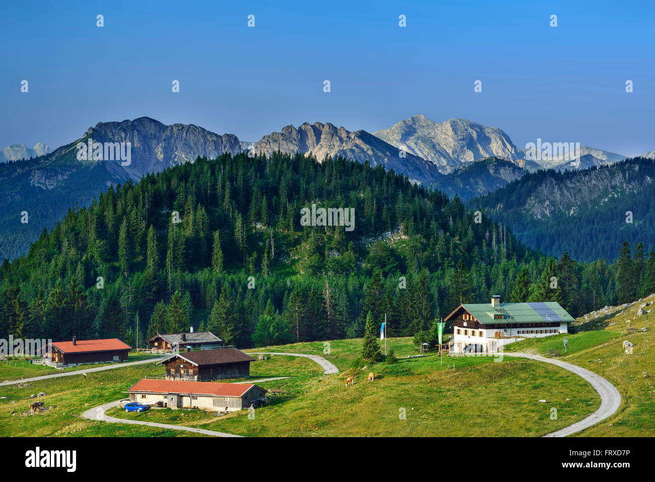 Alpine hut Schoenfeldalm in front of Schinder and Guffert, Bavarian Alps, Upper Bavaria, Bavaria, Germany Stock Photo