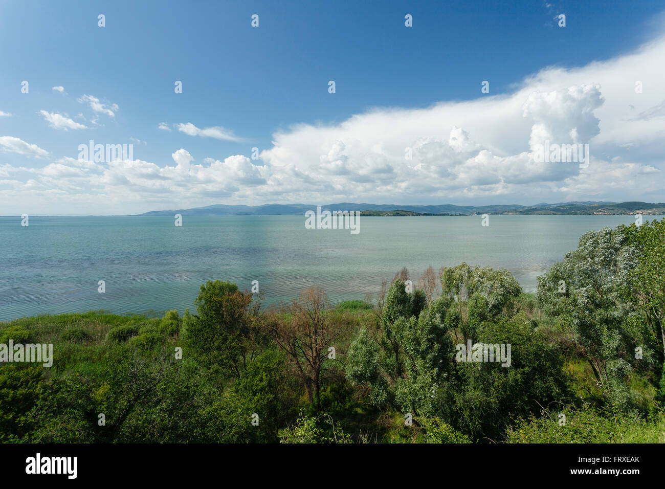 Lago Trasimeno, lake, province of Perugia, Umbria, Italy, Europe Stock Photo