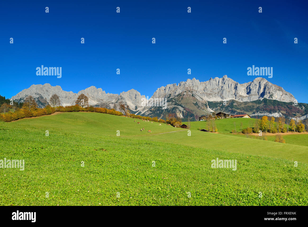 wilder-kaiser-from-south-with-treffauer-ellmauer-halt-karlspitzen