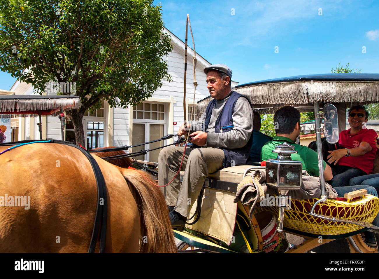 Horse drawn tourist carriage, Buyukada Island, Princess Islands, Marmara Sea, Istanbul, Turkey Stock Photo