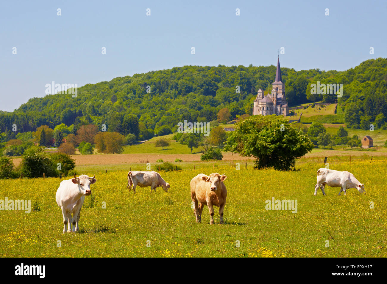 Landscape near Mont-devant-Sassey with church Notre Dame, XI th century, Vallée de Meuse, Dept. Meuse, Region Lothringen, France, Europe Stock Photo