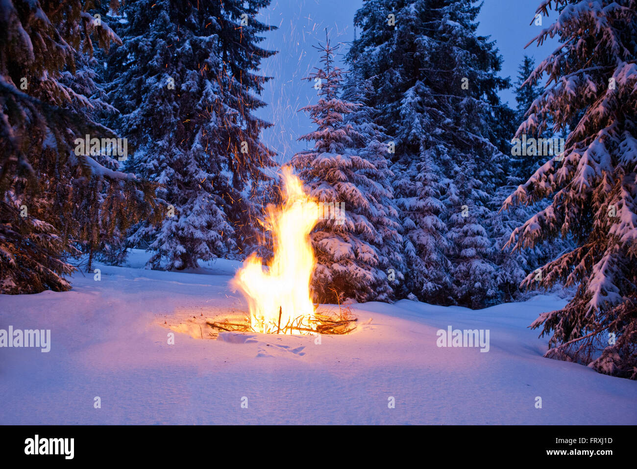 Костер зимой в лесу. Огонь посредине зимы. Костер зимой в лесу. Зимнее фэнтези книги. Огонь посредине зимы.