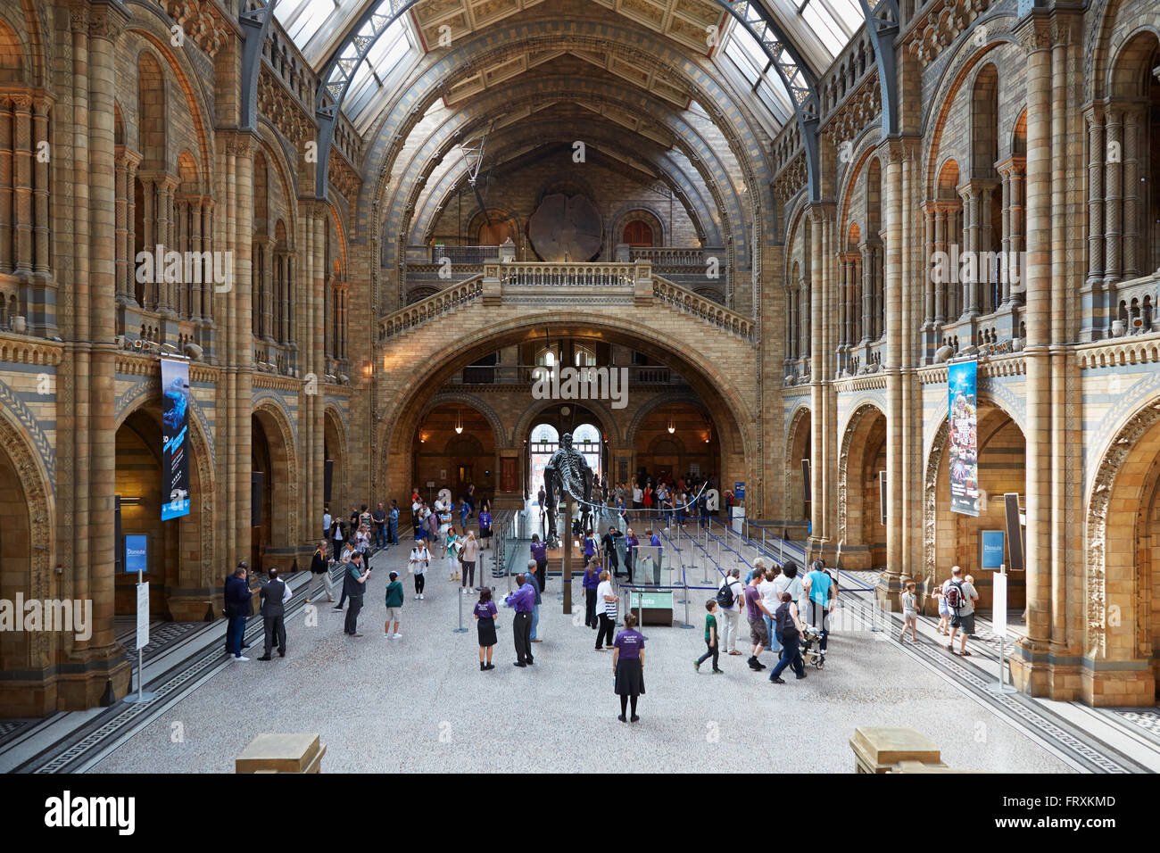 Natural History Museum interior with people and tourists in London Stock Photo