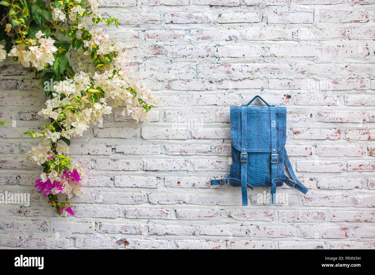 Python leather bag and flower at brick wall stock photo alamy