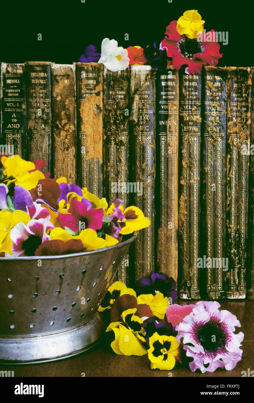 Historic Books And Floral Arrangement Stock Photo Alamy