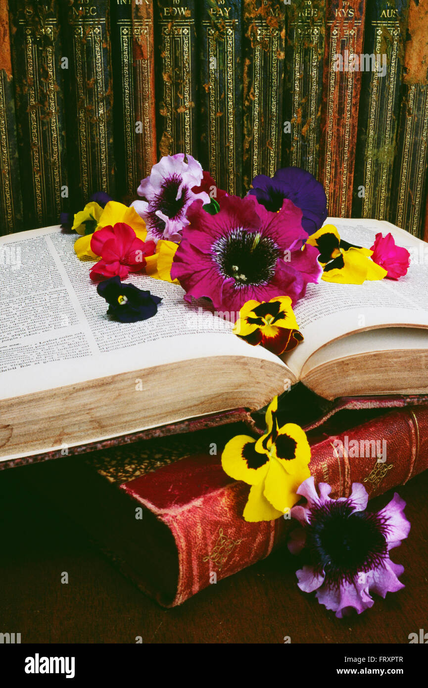 Historic Books And Floral Arrangement Stock Photo Alamy