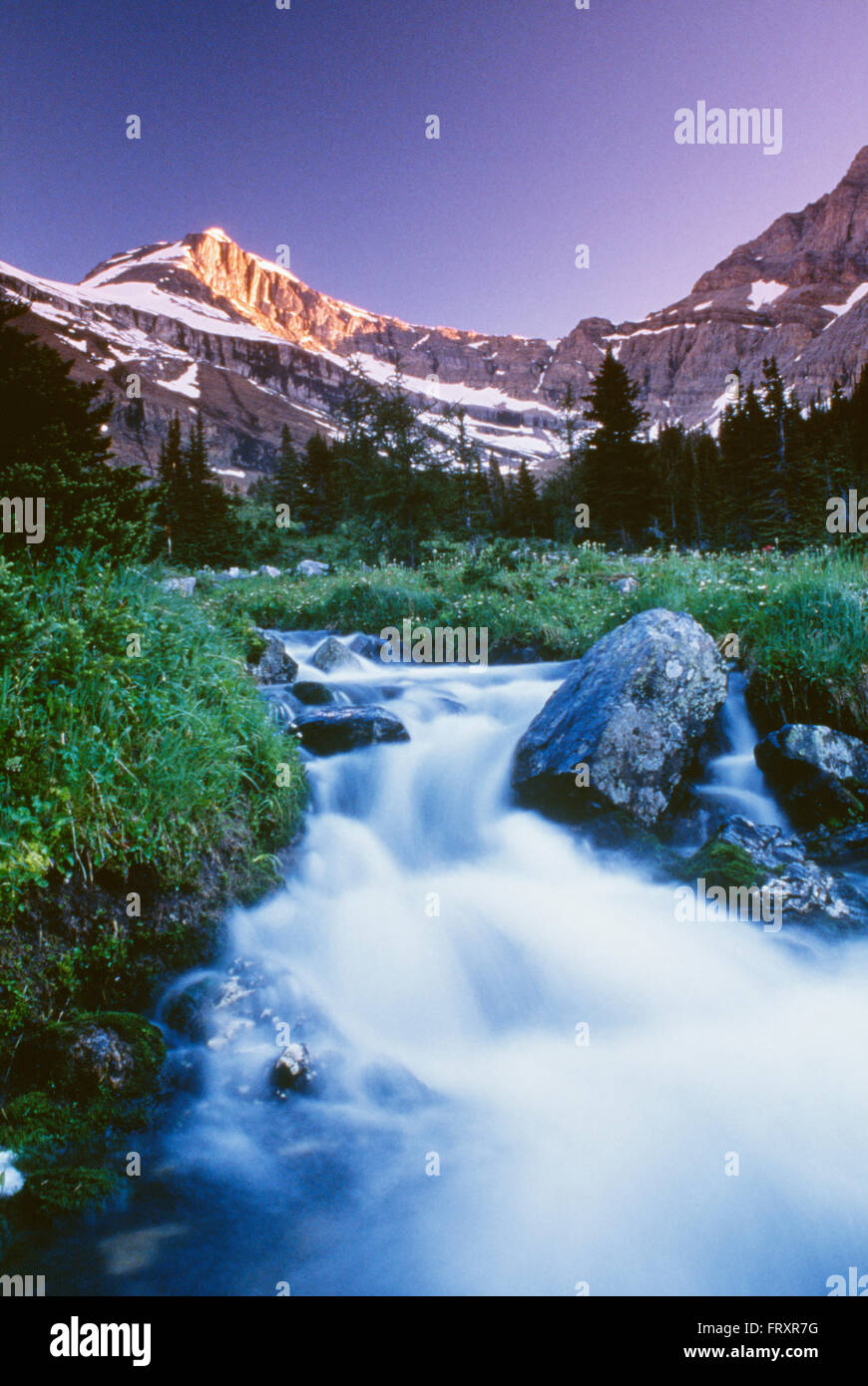 Small Stream, Skoki Valley, Banff National Park, Alberta, Canada Stock Photo
