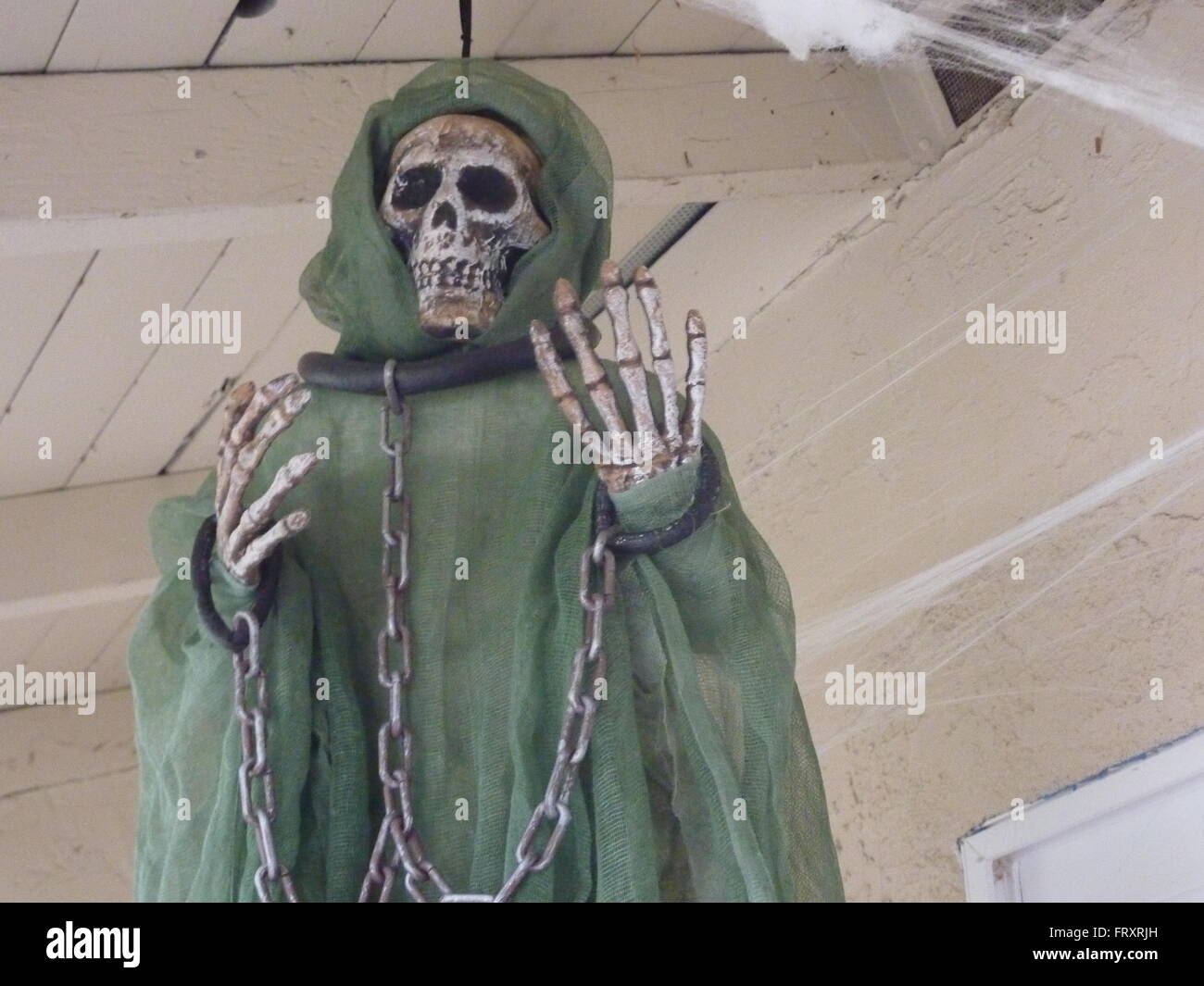 Halloween human Skeleton with chains at display during Halloween celebrations in Sunnyvale, California, USA Stock Photo