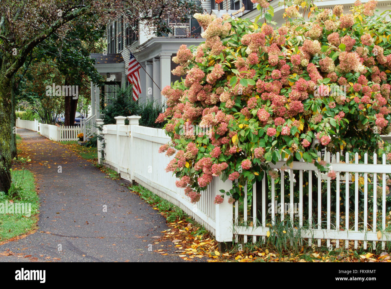 Neighborhood homes picket fences hires stock photography and images