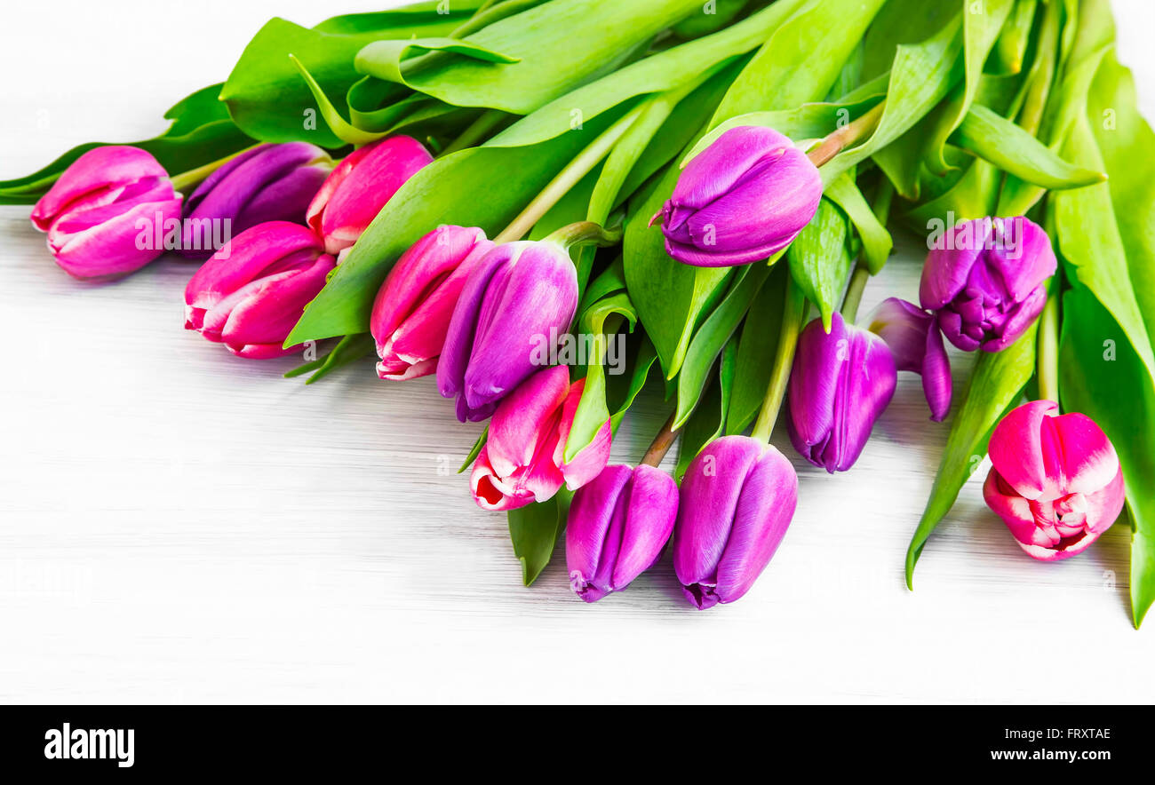 Beautiful pink and purple spring tulips bouquet Stock Photo - Alamy