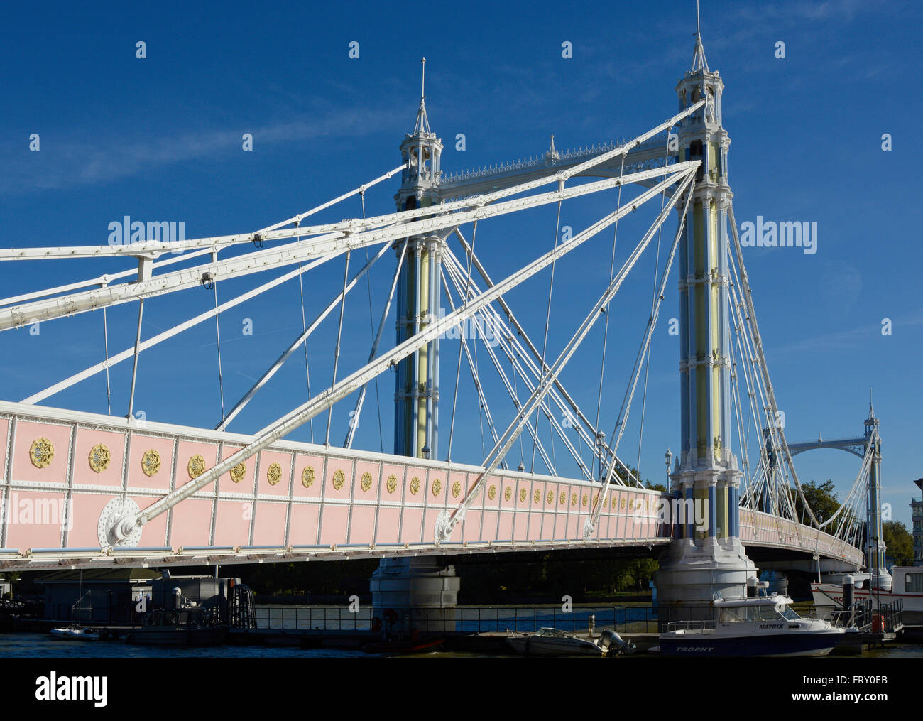 Albert Bridge over the River Thames in London, England Stock Photo - Alamy