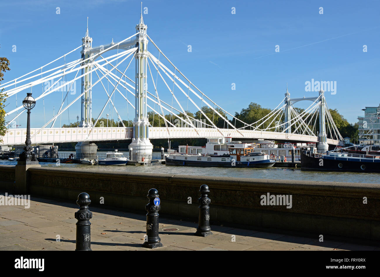 Albert Bridge over the River Thames in London, England Stock Photo - Alamy