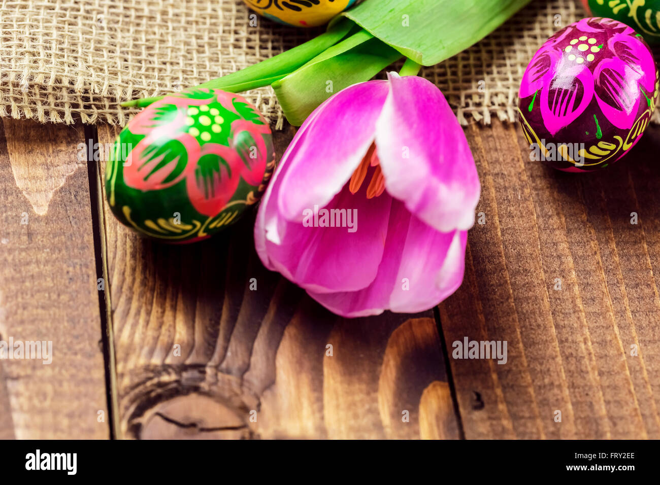 Beautiful background with painted Easter eggs and tulips laid on a ...