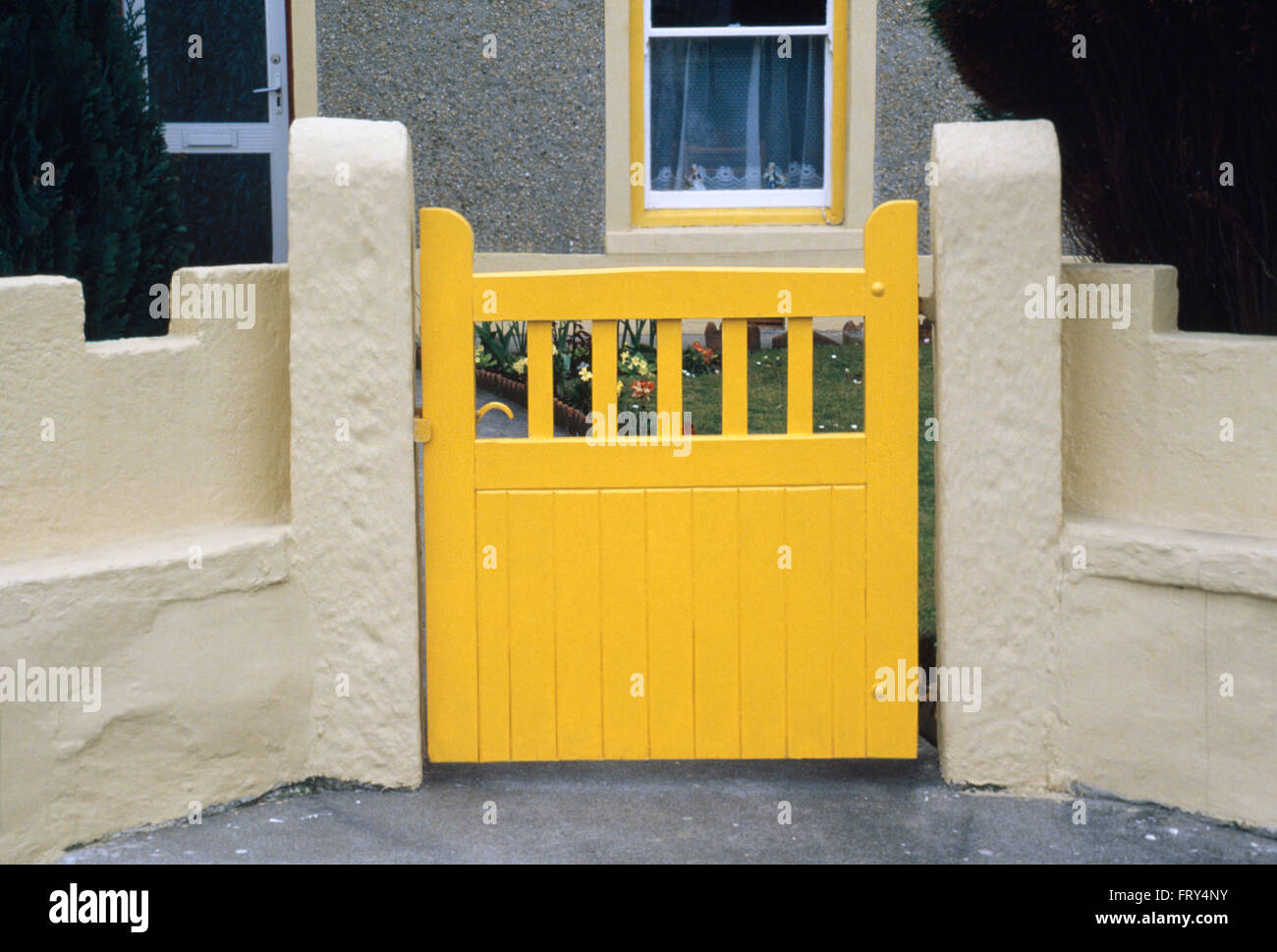 Bright yellow gate in pale yellow garden wall Stock Photo
