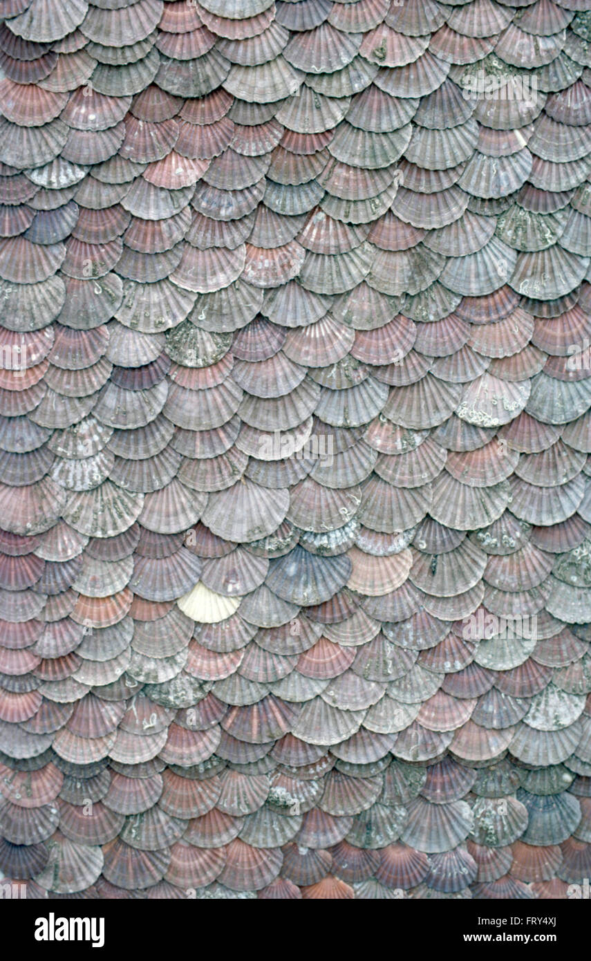 Close-up of a wall clad with seashells Stock Photo