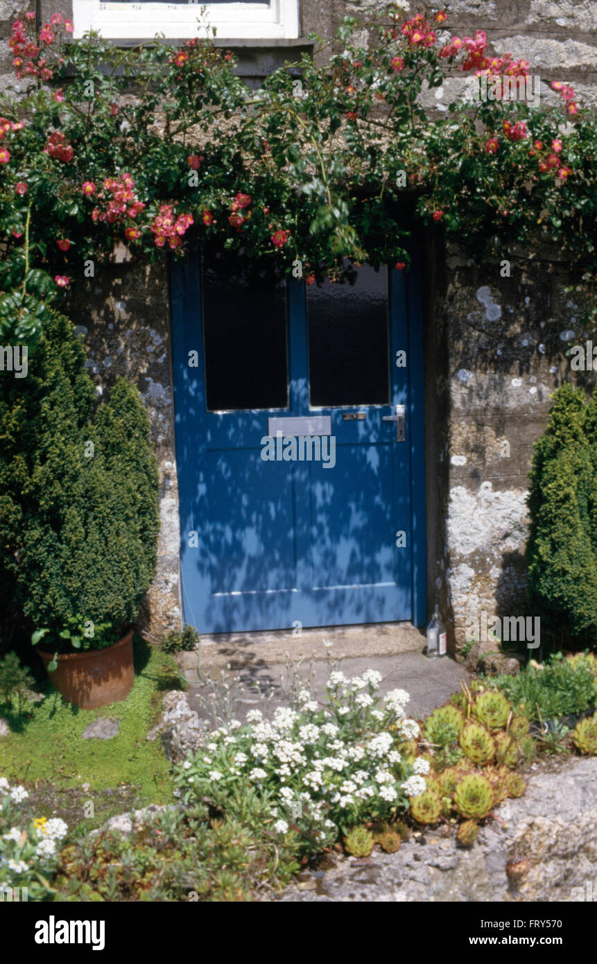 Exterior of cottage with pink climbing roses over blue front door Stock Photo